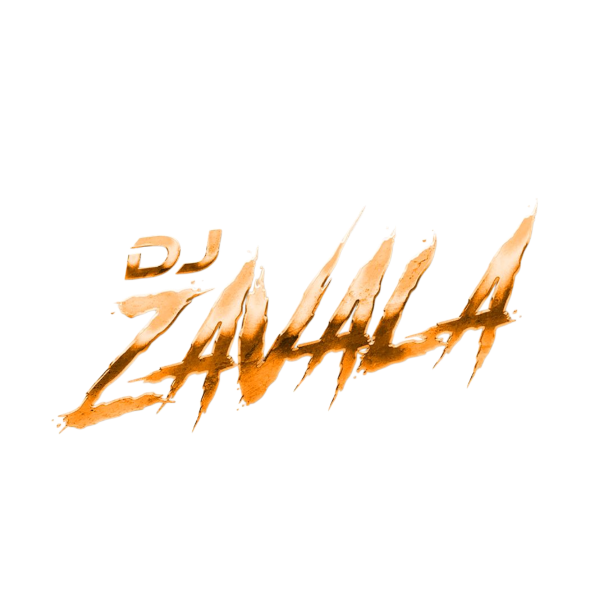 DJ ZAVALA portrait
